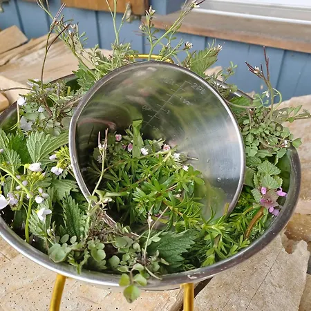 Seelodge Mit Alpenblick 4*