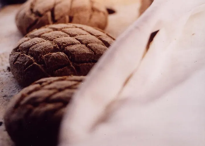 Bed & Breakfast Seelodge Mit Alpenblick Grossaffoltern