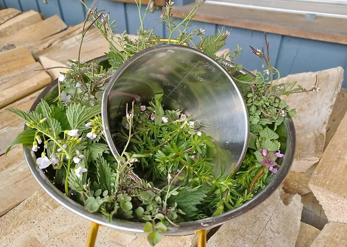 Seelodge Mit Alpenblick 4*