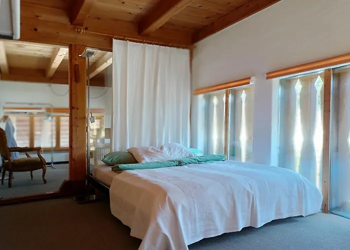 Seelodge Mit Alpenblick 4* Grossaffoltern